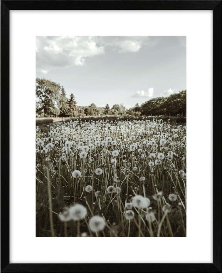 Plakát 40x50 cm Meadow knor