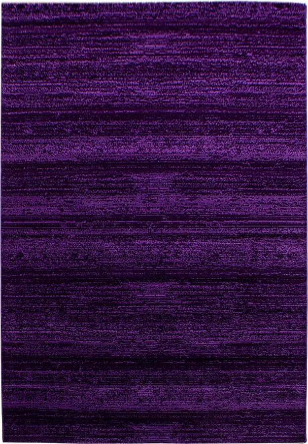 Tmavě fialový koberec 140x200 cm Plus – Ayyildiz Carpets Ayyildiz Carpets